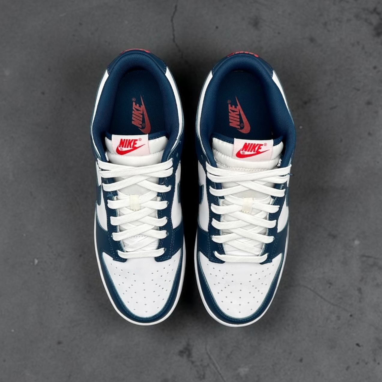 Nike Dunk Low Valerian Blue